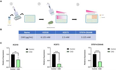 Regulation of anti-phage defense mechanisms by using cinnamaldehyde as a quorum sensing inhibitor